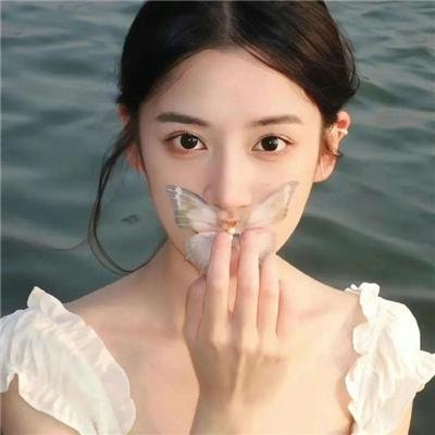 峠最后的武士